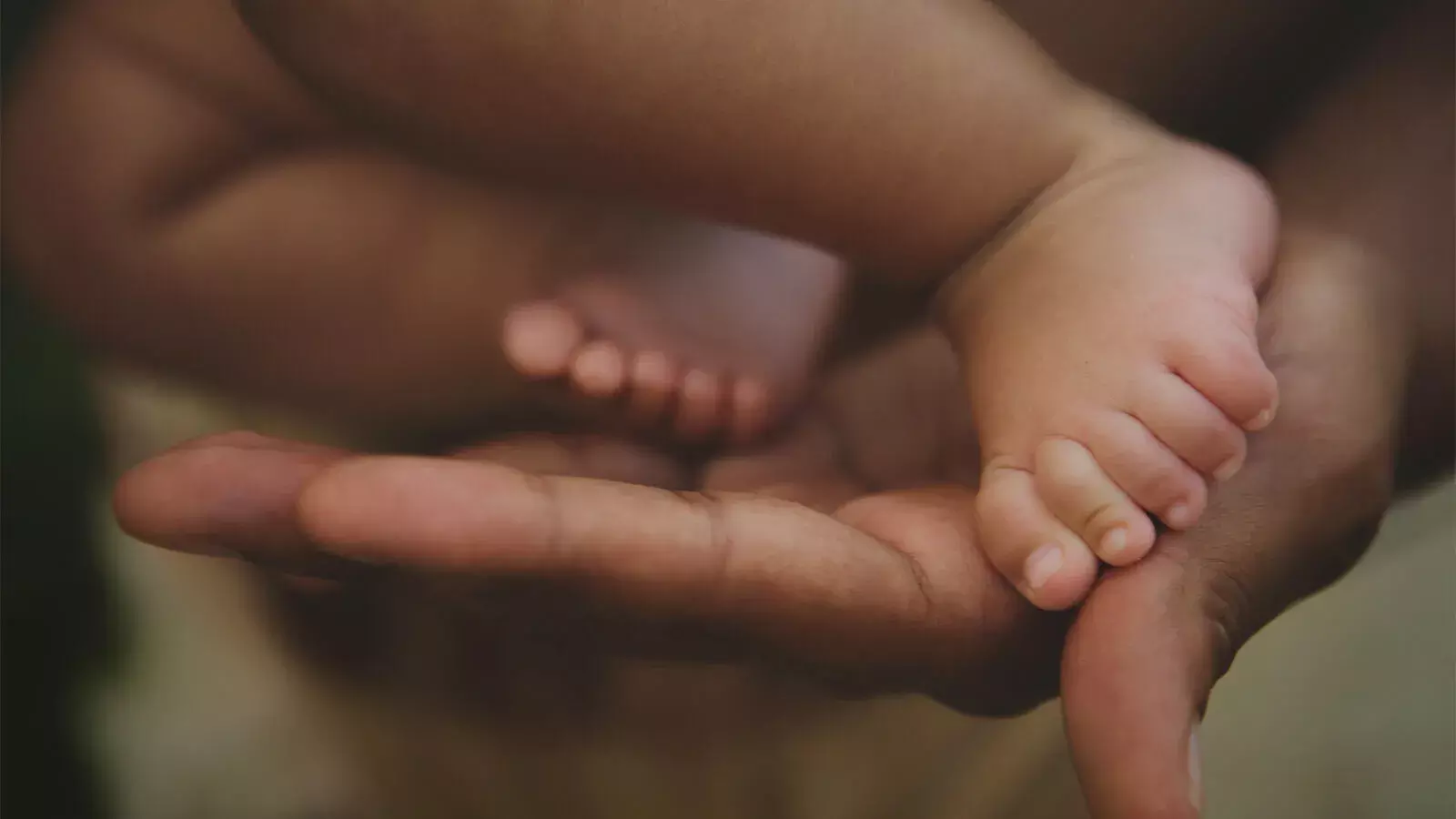 குழந்தை பராமரிப்பகங்களை பெரிய நிறுவனங்கள் பராமரிக்க வேண்டும், ஆனால் பெரும்பாலானவை அப்படிச் செய்யவில்லை குழந்தை பராமரிப்பகங்களை பெரிய நிறுவனங்கள் பராமரிக்க வேண்டும், ஆனால் பெரும்பாலானவை அப்படிச் செய்யவில்லை