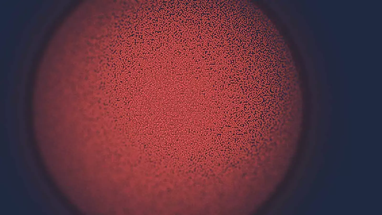 விளக்கம்: உயரும் சார்ஸ்-கோவ்-2 இனப்பெருக்க எண்ணிக்கை ஏன் கவலையை ஏற்படுத்துகிறது விளக்கம்: உயரும் சார்ஸ்-கோவ்-2 இனப்பெருக்க எண்ணிக்கை ஏன் கவலையை ஏற்படுத்துகிறது