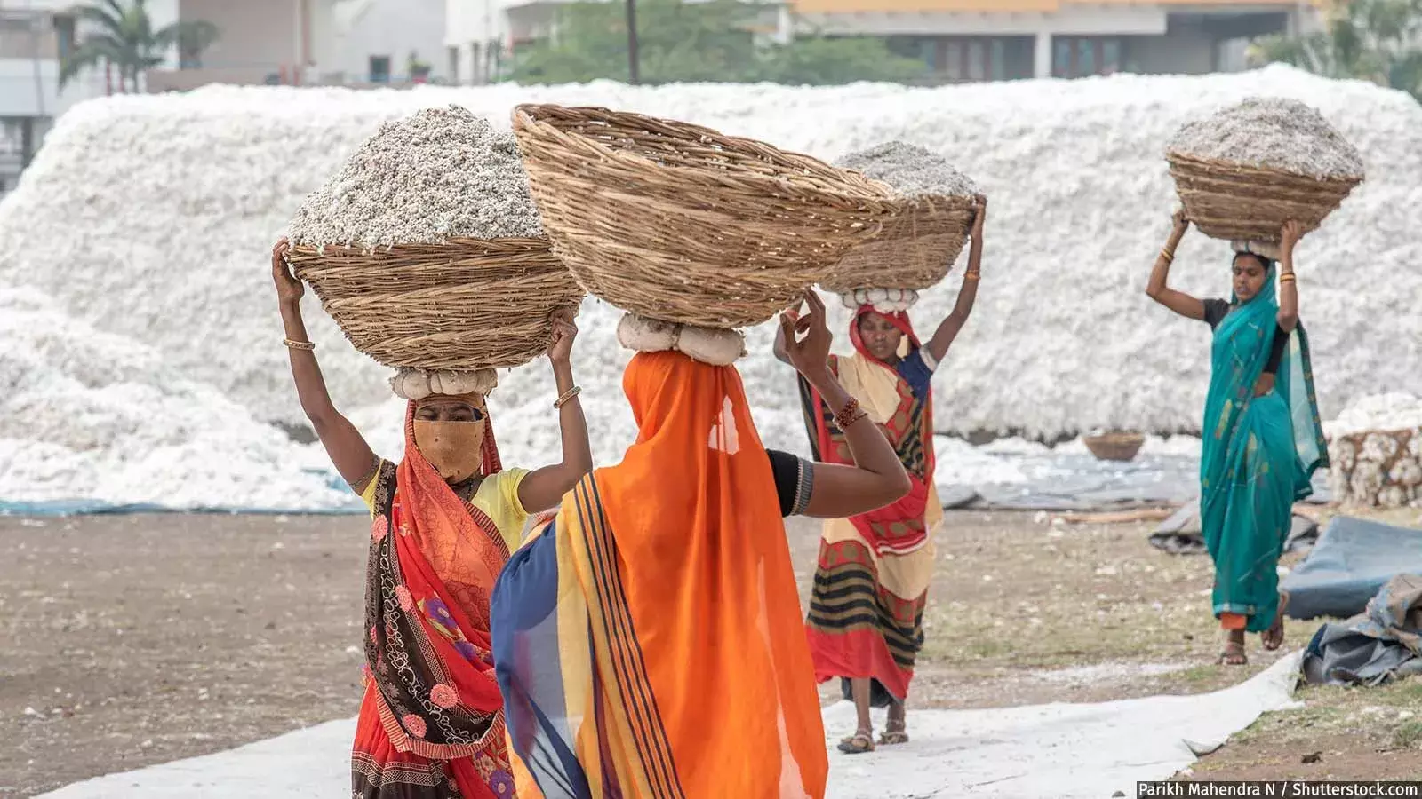 சிறு நிறுவனங்களில் புலம்பெயர்ந்த தொழிலாளர் நலன் எவ்வாறு தொடர்ந்து கவனிக்கப்படாமல் உள்ளது சிறு நிறுவனங்களில் புலம்பெயர்ந்த தொழிலாளர் நலன் எவ்வாறு தொடர்ந்து கவனிக்கப்படாமல் உள்ளது