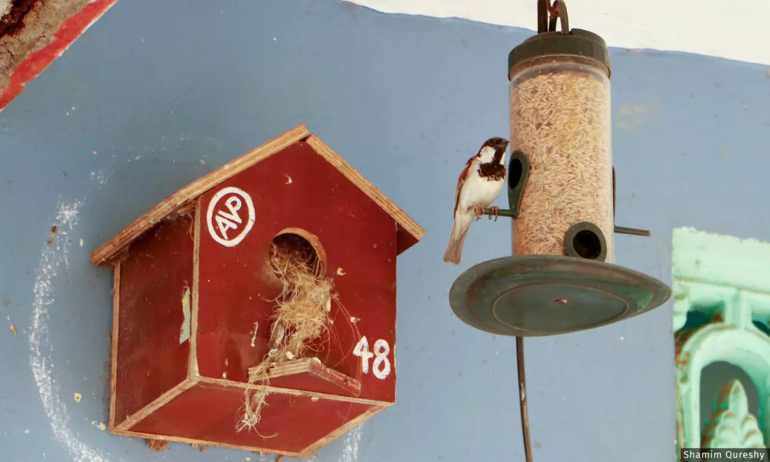 ஒடிசாவின் கஞ்சம் பகுதி உயிரினங்களுக்கான சமூகப் பாதுகாப்பிற்கு ஆமையின் வளம் எப்படி வழிவகுத்தது ஒடிசாவின் கஞ்சம் பகுதி உயிரினங்களுக்கான சமூகப் பாதுகாப்பிற்கு ஆமையின் வளம் எப்படி வழிவகுத்தது