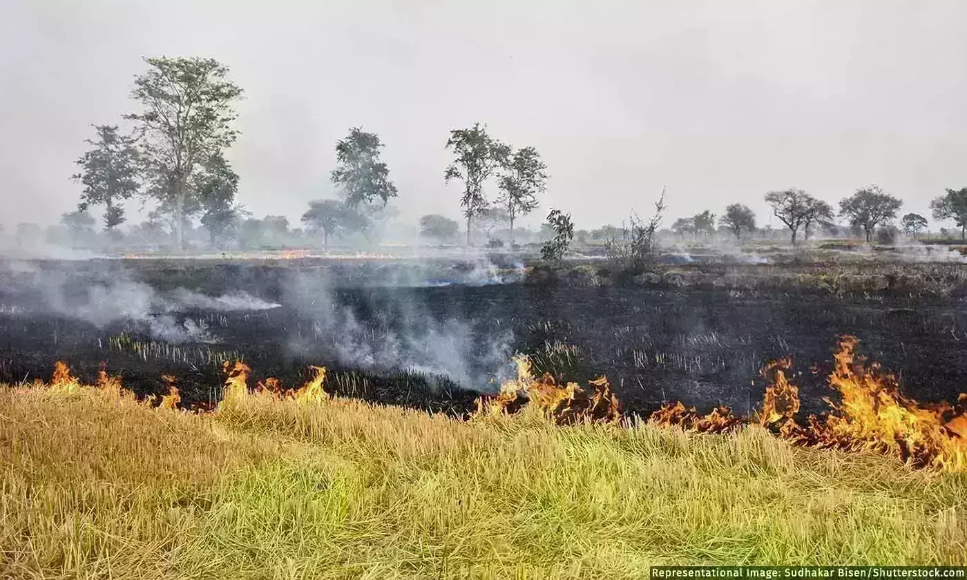 2022 இல் பஞ்சாப் வயல் எரிப்பு சம்பவங்கள் 30% குறைவு: தரவு எவ்வளவு நம்பகமானது? 2022 இல் பஞ்சாப் வயல் எரிப்பு சம்பவங்கள் 30% குறைவு: தரவு எவ்வளவு நம்பகமானது?