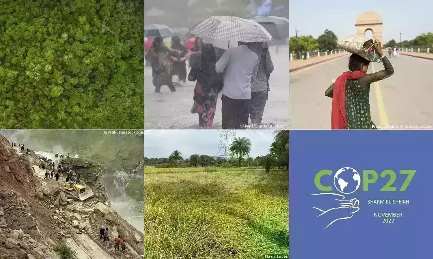 ஆண்டு மதிப்பீடு: அதிக வானிலை நிகழ்வுகள் பதிவான ஆண்டில் பசுமைச் சட்டம் நீர்த்துப்போனது ஆண்டு மதிப்பீடு: அதிக வானிலை நிகழ்வுகள் பதிவான ஆண்டில் பசுமைச் சட்டம் நீர்த்துப்போனது