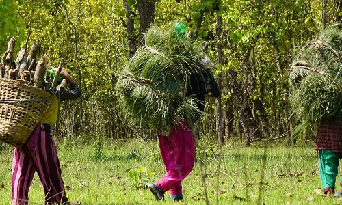 நிலம் தொடர்பான சட்டங்கள் காடுகளையும் வனவாசிகளையும் எவ்வாறு அச்சுறுத்துகின்றன நிலம் தொடர்பான சட்டங்கள் காடுகளையும் வனவாசிகளையும் எவ்வாறு அச்சுறுத்துகின்றன