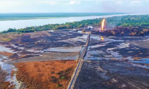 அசாம் எண்ணெய் வயல் தீ: சுற்றுச்சூழல் அனுமதிகளை மறுபரிசீலனை செய்ய விரும்பும் வனவிலங்கு நிறுவனம்,  ஆர்டிஐ தகவல் அசாம் எண்ணெய் வயல் தீ: சுற்றுச்சூழல் அனுமதிகளை மறுபரிசீலனை செய்ய விரும்பும் வனவிலங்கு நிறுவனம்,  ஆர்டிஐ தகவல்
