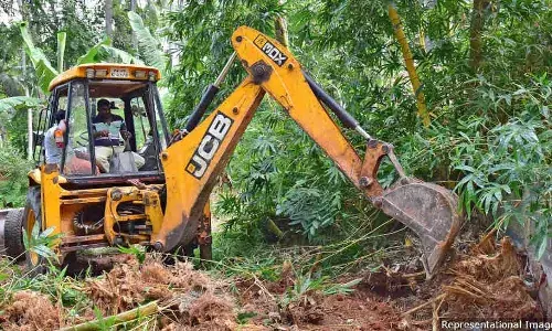 சுரங்கம், விவசாயத்திற்காக நிலம் திருப்பிவிடப்பட்டது இந்தியாவின் மொத்த வனப்பகுதியை உயர்த்துகிறது சுரங்கம், விவசாயத்திற்காக நிலம் திருப்பிவிடப்பட்டது இந்தியாவின் மொத்த வனப்பகுதியை உயர்த்துகிறது
