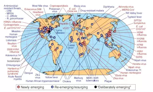 காய்ச்சல் போன்ற தொற்றுநோய் உலகளவில் 8 கோடி பேரை கொல்லக்கூடும், 5% உலக ஜி.டி.பி.யை அழிக்கும்: புதிய அறிக்கை காய்ச்சல் போன்ற தொற்றுநோய் உலகளவில் 8 கோடி பேரை கொல்லக்கூடும், 5% உலக ஜி.டி.பி.யை அழிக்கும்: புதிய அறிக்கை