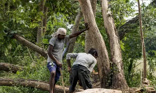 பாலைவனமாதல் குறித்த உலகளாவிய கூட்டத்தை இந்தியா நடத்துகையில், அதன் நிலத்தின் மூன்றில் ஒரு பகுதி நெருக்கடியில் உள்ளது