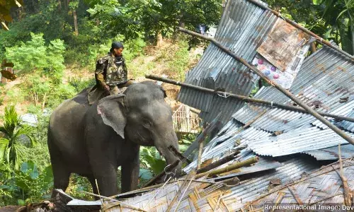 உச்சநீதிமன்ற விசாரணை நெருங்குகையில் வனச்சட்டத்திற்கு வழிவகுத்த வெளியேற்றங்களை நினைவுகூறும் ஆதிவாசிகள் உச்சநீதிமன்ற விசாரணை நெருங்குகையில் வனச்சட்டத்திற்கு வழிவகுத்த வெளியேற்றங்களை நினைவுகூறும் ஆதிவாசிகள்