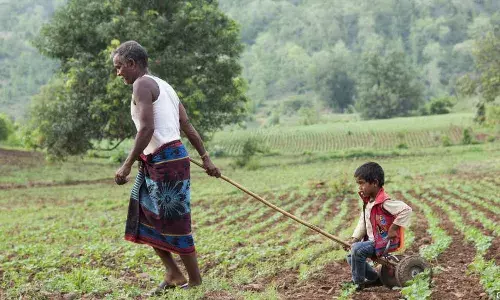 உண்மையான வருமானம் மேம்பட்டதால், விவசாயிகளது குழந்தைகள் விவசாயம் மேற்கொள்ள வாய்ப்புகள் குறைவு உண்மையான வருமானம் மேம்பட்டதால், விவசாயிகளது குழந்தைகள் விவசாயம் மேற்கொள்ள வாய்ப்புகள் குறைவு