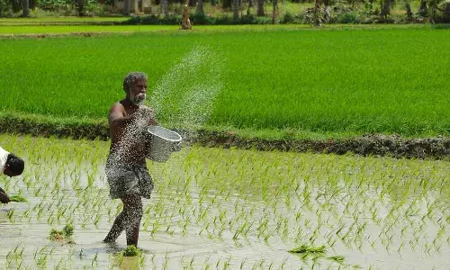 பஞ்சாப், ஹரியானா பாலைவனம் ஆவதை தடுக்க நெல் சாகுபடியை கிழக்கு நோக்கி இந்தியா திருப்ப வேண்டும் பஞ்சாப், ஹரியானா பாலைவனம் ஆவதை தடுக்க நெல் சாகுபடியை கிழக்கு நோக்கி இந்தியா திருப்ப வேண்டும்