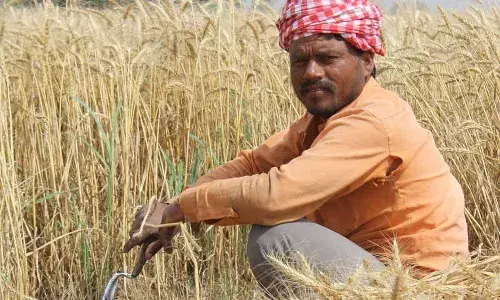 12 பெறுநிறுவனங்களின் வாராக்கடன் சொத்து மதிப்பு விவசாயக்கடன் தள்ளுபடியை போல் இரு மடங்கு அதிகம்