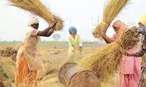 விவசாயிகள், அமைப்புசாரா தொழிலாளர்கள், நடுத்தர வகுப்பு வாக்காளர்களுக்கான இடைக்கால பட்ஜெட் விவசாயிகள், அமைப்புசாரா தொழிலாளர்கள், நடுத்தர வகுப்பு வாக்காளர்களுக்கான இடைக்கால பட்ஜெட்