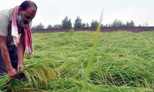 கார்பன் வெளியேற்றும் முதல் 10 நாடுகளில் முன்னேற்றம் கண்ட இந்தியா; ஆனால் புவி வெப்பநிலை 3°செல்சியஸ் நோக்கி செல்வதால் மோசமடையும் விவசாயம்