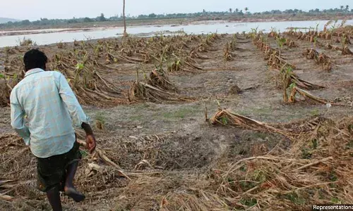 காலநிலை மாற்றம் வேற்றுமையை மோசமாக்கும், மோதலை அதிகரிக்கும், நக்சல்களுக்கு சாதமானது: புதிய தகவல் காலநிலை மாற்றம் வேற்றுமையை மோசமாக்கும், மோதலை அதிகரிக்கும், நக்சல்களுக்கு சாதமானது: புதிய தகவல்