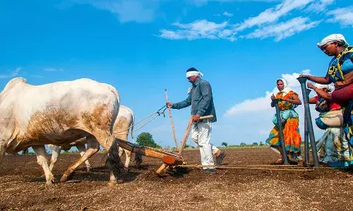 இந்தியாவின் 10,000 விவசாயிகள்-கூட்டுத் திட்டத்திற்கு நிதி மற்றும் தொழில்முறை மேலாண்மை  தேவை இந்தியாவின் 10,000 விவசாயிகள்-கூட்டுத் திட்டத்திற்கு நிதி மற்றும் தொழில்முறை மேலாண்மை  தேவை